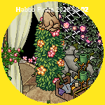 Imagem 32